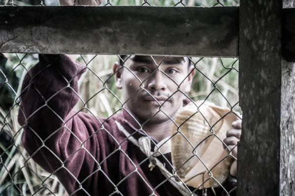 Coffee plantation worker relaxing behind a fence